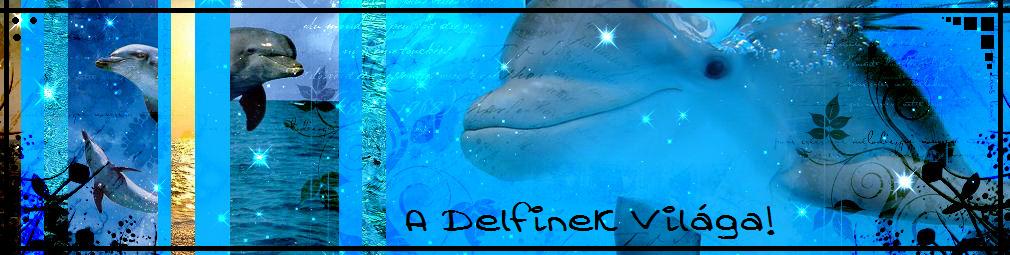 pici-delfin-nevelde
